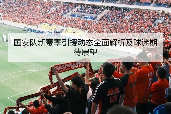 国安队新赛季引援动态全面解析及球迷期待展望